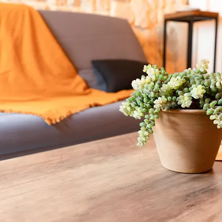 Immeuble 3 Centre Historique St Gilles Maisoncarreeconciergerie Appartamento
