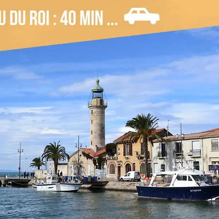 Appartement Immeuble 3 Centre Historique St Gilles Maisoncarreeconciergerie